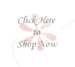 blog insert - shop now