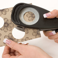 ADV_ST_reverse_spot_fig3