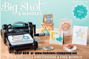 6a00e554f4a3a4883401a511ee0d9d970c-800wi