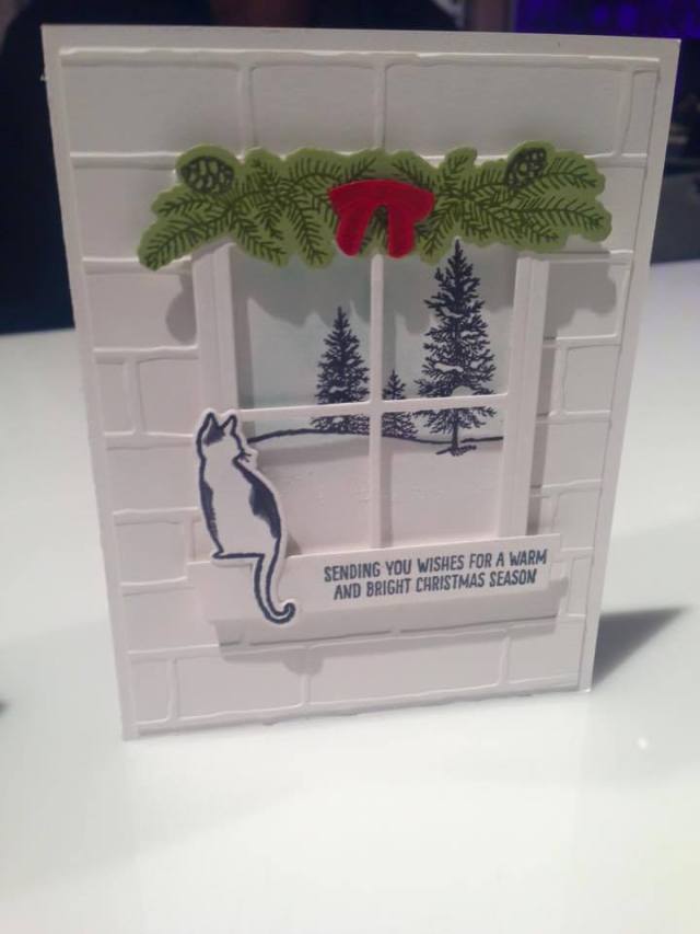 11247893_10153446705402210_8818244516538553422_n