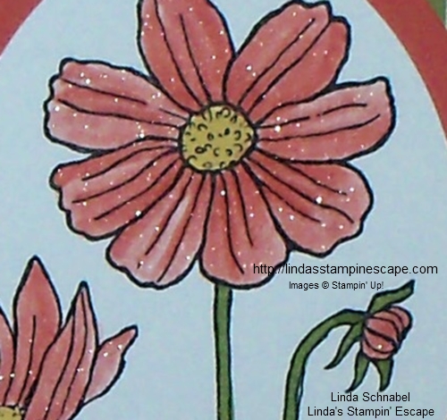 Wink of Stella on Flower