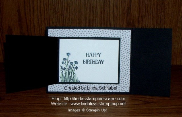 000_3405-open inside